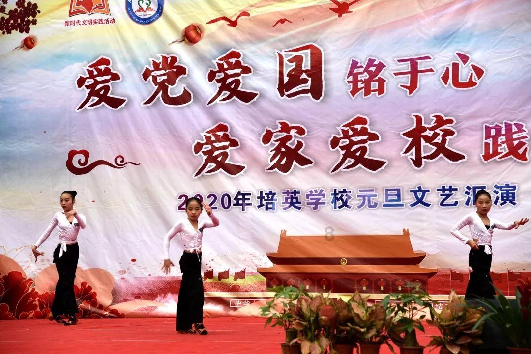 寻找沙漠珍宝